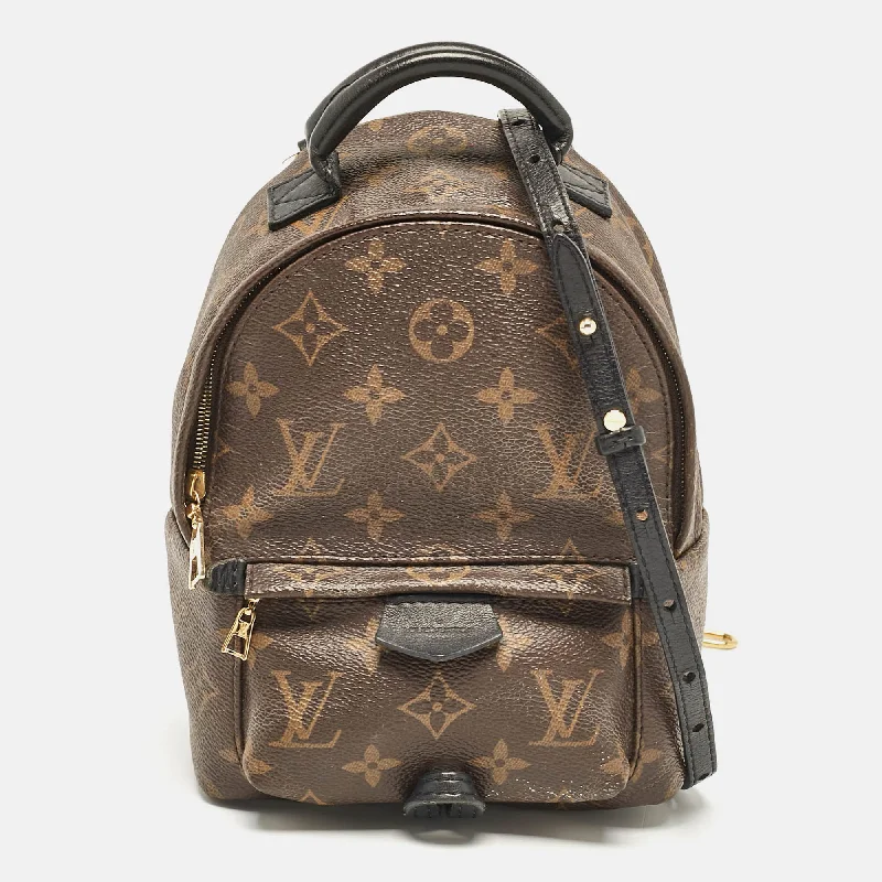 Louis Vuitton Monogram Canvas Mini Palm Springs Backpack